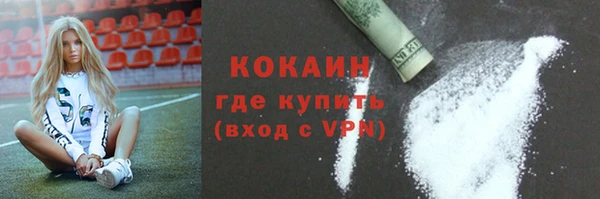 гидра Медвежьегорск