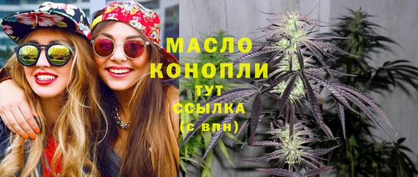 гидра Медвежьегорск