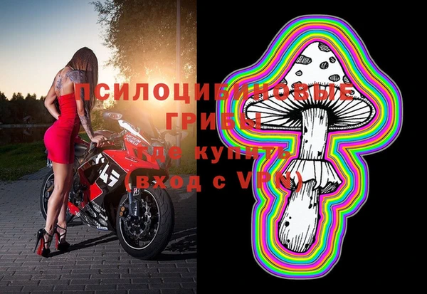 гидра Медвежьегорск