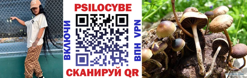 Псилоцибиновые грибы мухоморы  Борисоглебск 