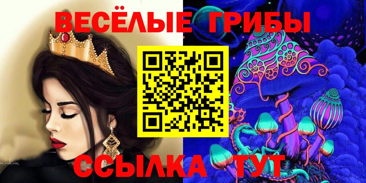 Борисоглебск  Псилоцибиновые грибы GOLDEN TEACHER  Вход с VPN  Псилоцибиновые грибы мухоморы 