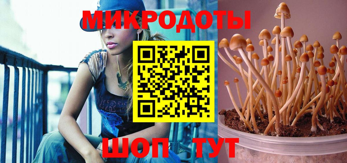 Псилоцибиновые грибы прущие грибы Борисоглебск