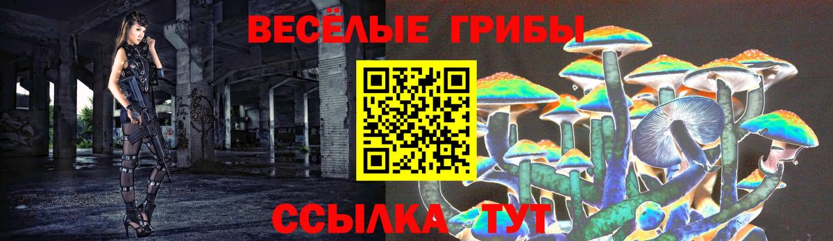 Псилоцибиновые грибы Psilocybe  Борисоглебск  Псилоцибиновые грибы MAGIC MUSHROOMS 